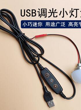 5VLED灯3W小夜灯模型DIY模型展览灯笼台灯改装移动充调光USB灯泡