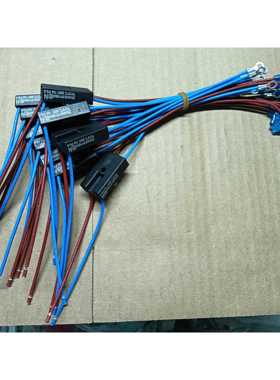 电压力锅熔断器保险管 RY169 Tf172度 4线