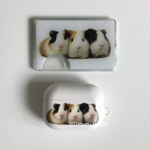 三只豚鼠荷兰猪airpods耳机套