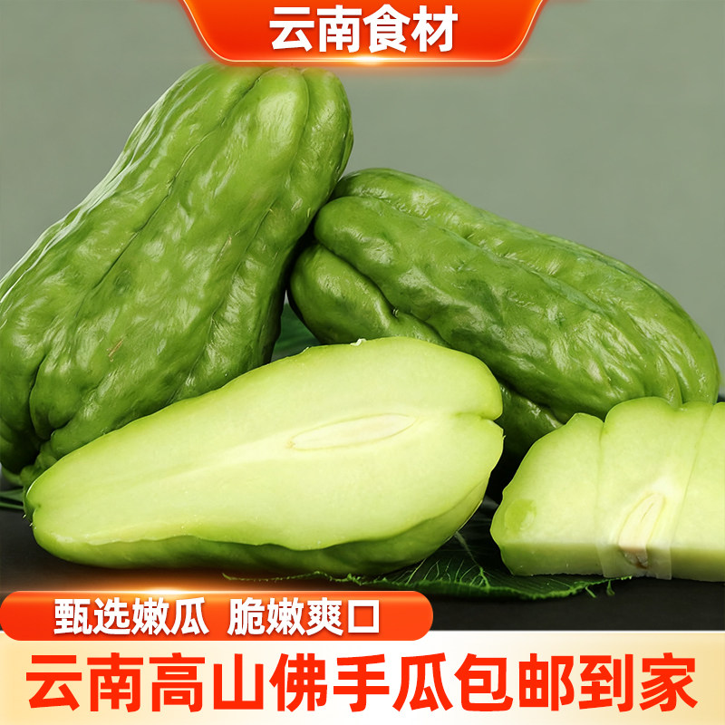 滇鲜生云南当季新鲜现摘包邮到家佛手瓜新鲜蔬菜农家新鲜佛手瓜,水产肉类/新鲜蔬果/熟食,佛手瓜,淘宝优惠券,粉丝福利购,淘宝优惠卷