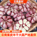 滇鲜生云南本地紫皮大蒜农家自种小个头半干大蒜多瓣紫皮大蒜蔬菜