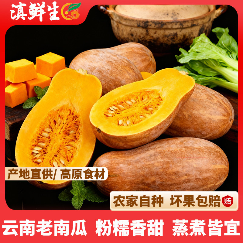 滇鲜生云南食材南瓜农家老南瓜