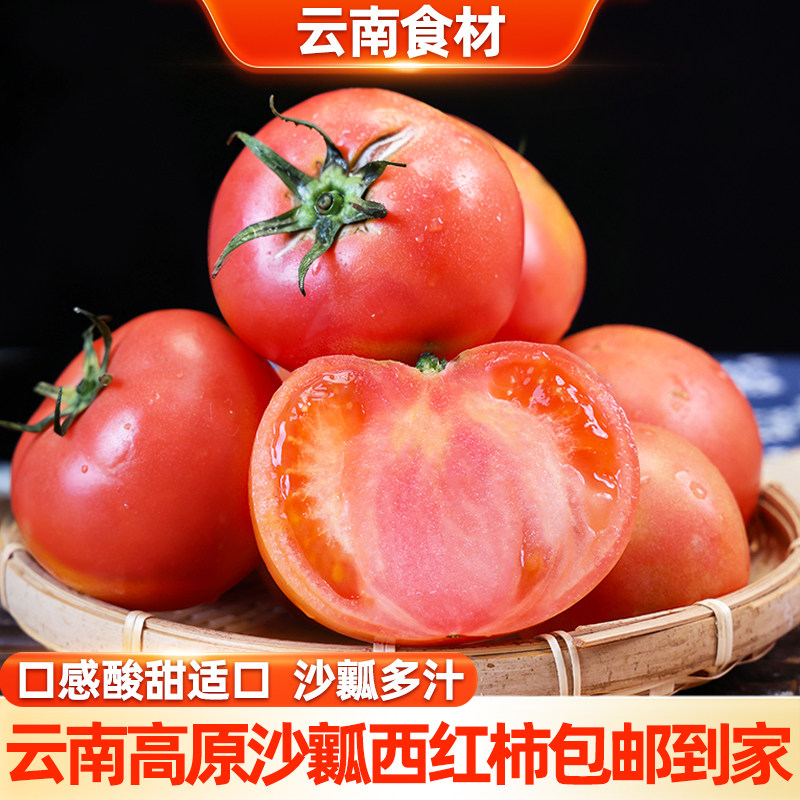 滇鲜生云南新鲜西红柿蔬菜农家新鲜直发自然成熟新鲜番茄西红柿,水产肉类/新鲜蔬果/熟食,番茄,淘宝优惠券,粉丝福利购,淘宝优惠卷