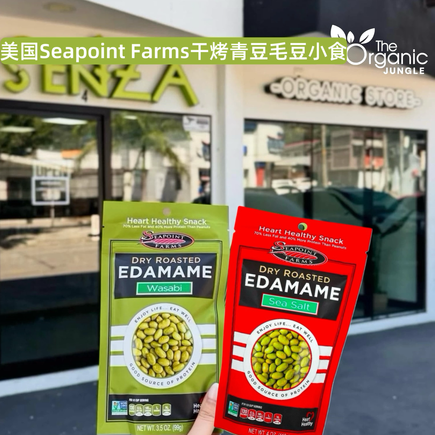 美国Seapoint Farms干烤日本青豆毛豆芥末味海盐味无麸质植入蛋白