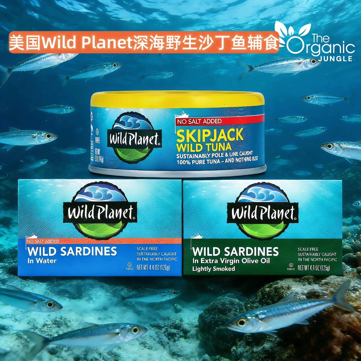 美国Wild Planet星球特级初榨橄榄油深海沙丁鱼鲭鱼宝宝辅食爱犬