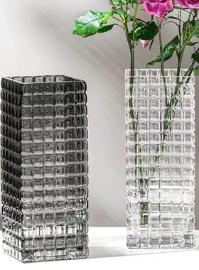 简约玻璃花瓶摆件客厅插花透明网红轻奢白色ins高锤纹方形