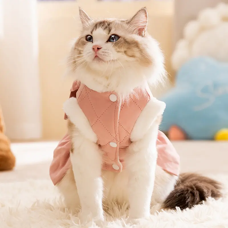 猫咪秋冬季公主风大结连衣裙狗狗裙子泰迪棉衣宠物猫衣服冬天
