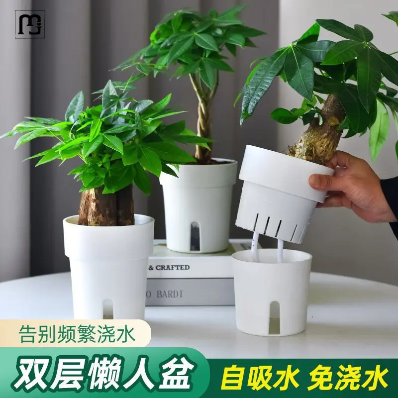 登极懒人绿萝植物自动吸水花盆透明器皿塑料玻璃花瓶绿箩