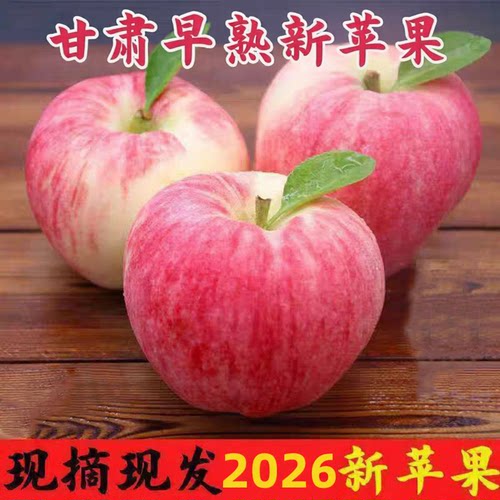 2026年甘肃早熟苹果新苹果世界一号头茬应季孕妇水果现摘现发包邮