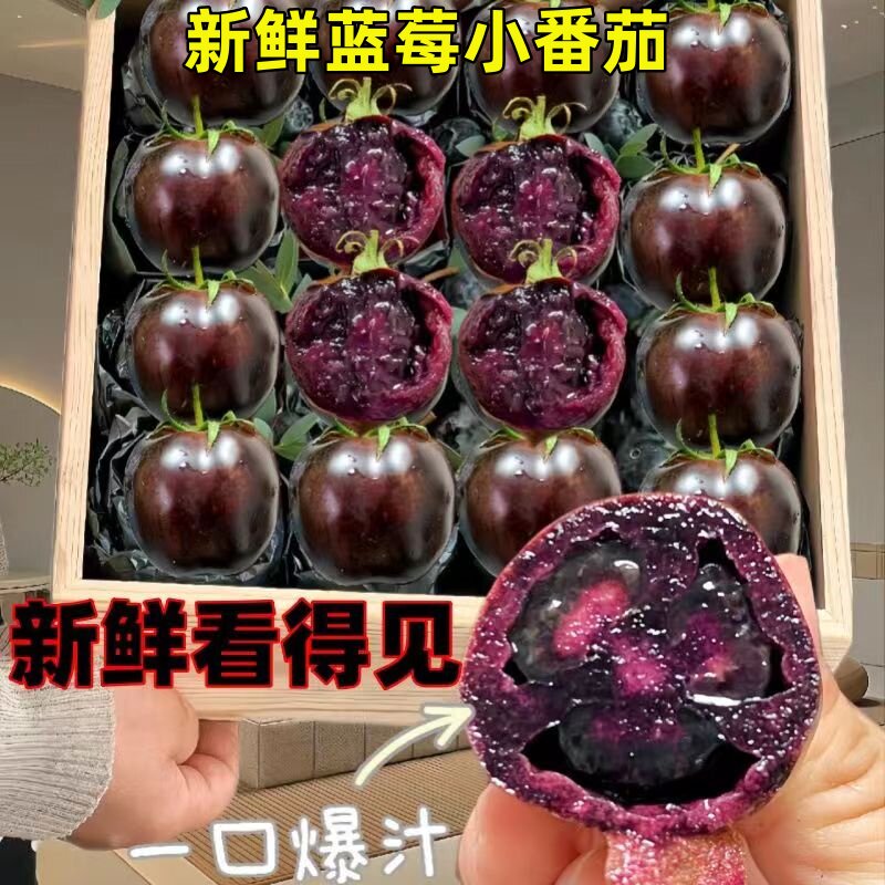 顺丰山东寿光蓝莓紫黑色小番茄新鲜生吃花青素水果黑番茄小柿子5