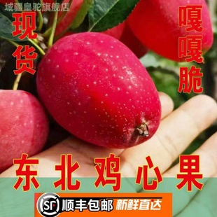 顺丰包邮新鲜应季东北鸡心果大秋果沙果海棠果龙丰果吉林苹果水果