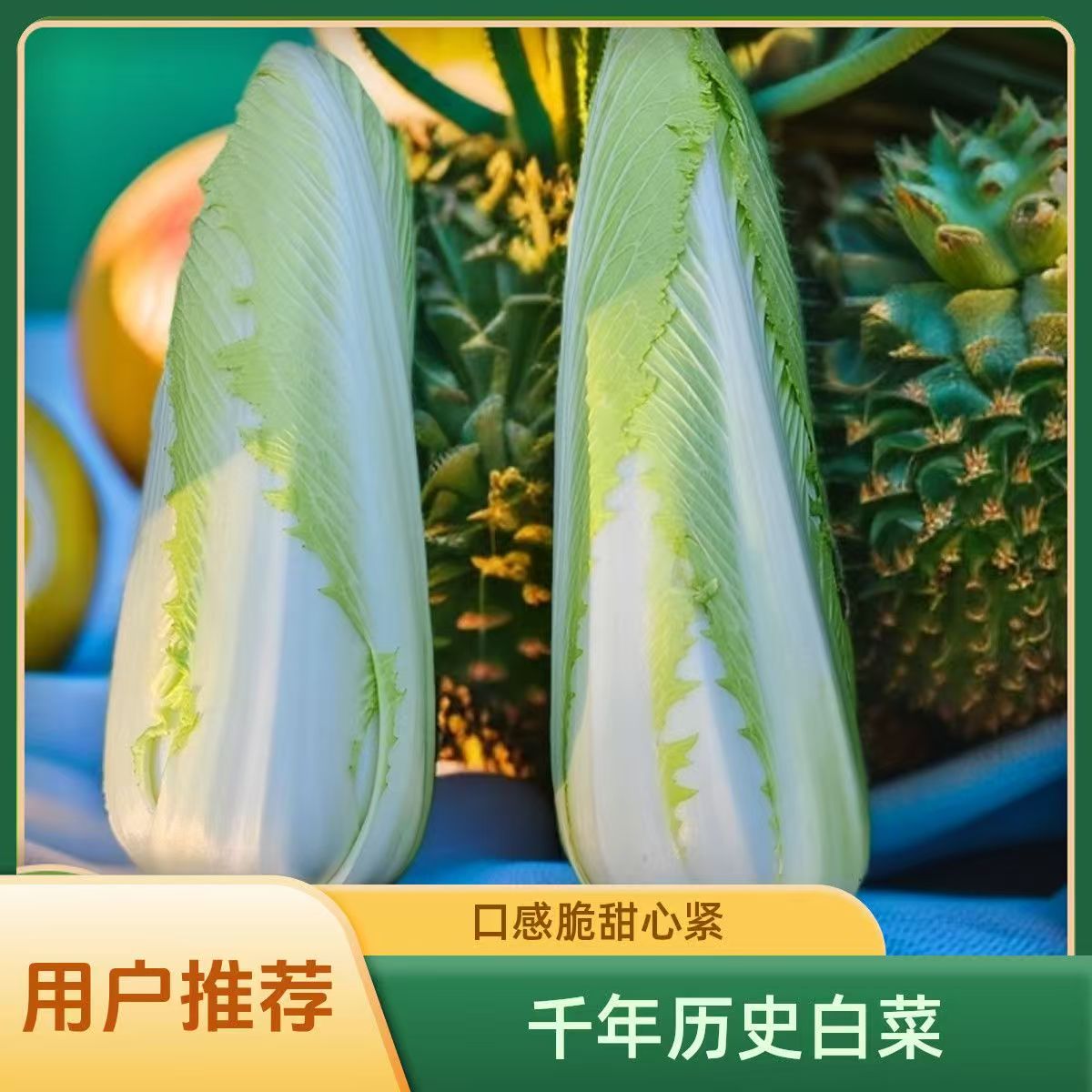 农家二包尖白菜原产地农家种植大白菜绿色龙牙菜新鲜