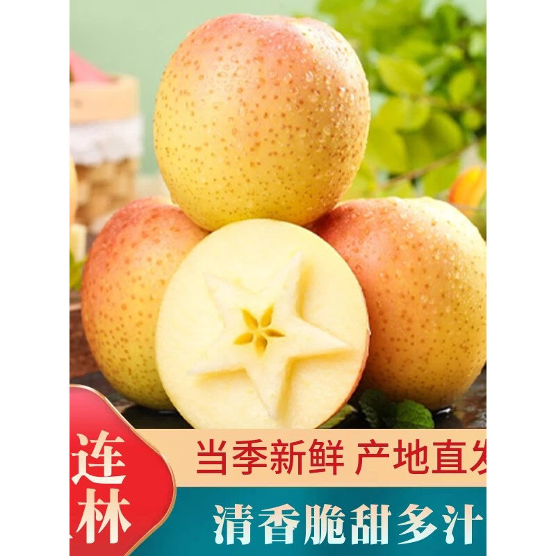 新鲜王林苹果现摘彩王林雀斑美人青苹果香甜多汁应季顺丰包邮图片