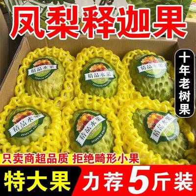 海南特产释迦果三亚番荔枝牛奶凤梨释迦摩尼果佛头瓜新鲜水果5斤