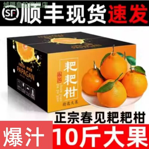 正宗春见耙耙柑旗舰店四川粑粑巴巴干橘子新鲜10斤丑八怪桔子知火