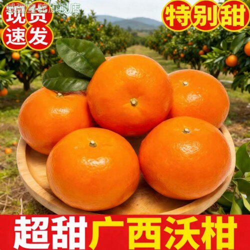 广西沃柑一级品纯甜不打蜡新鲜现摘水果10斤果园直发产自广西武鸣