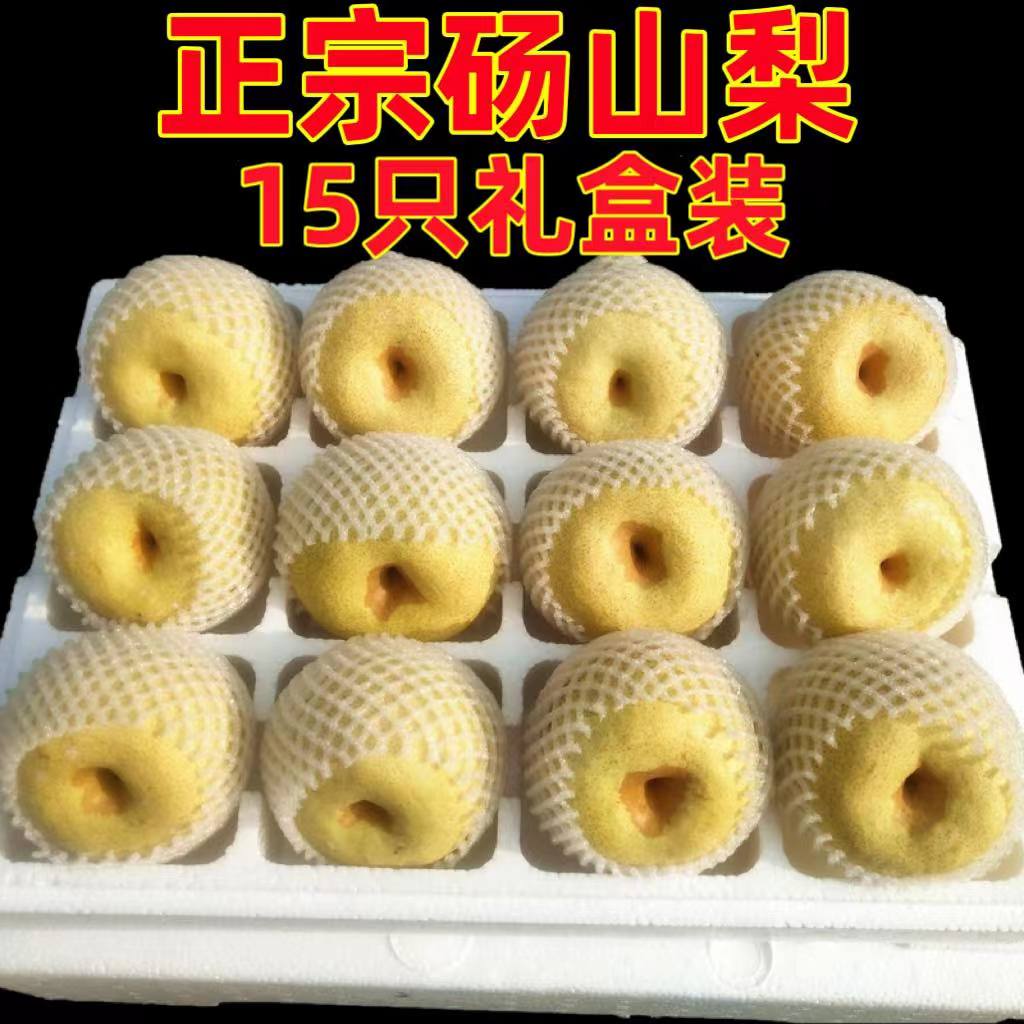 正宗砀山梨官方旗舰店青酥梨汤山梨子新鲜当季现摘现发水果 10斤