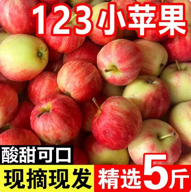 123小苹果沙果海棠花红苹果新鲜当季应季水果酸甜脆5斤产自东北图片
