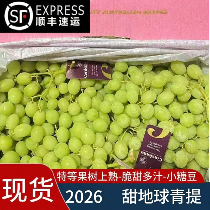 【顺丰冷链】2026甜地球青提脆甜无籽无核新鲜孕妇水果纯甜