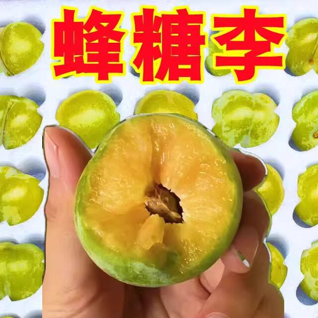 正宗黄皮大果李子早熟蜂糖李子当季新鲜孕妇水果整箱脆甜三月李子