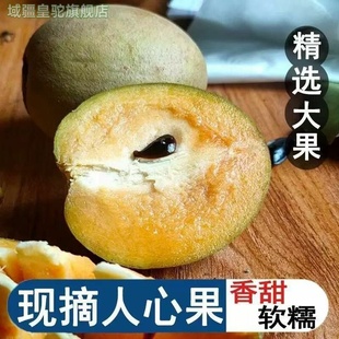 顺丰包邮 人心果 甜如蜜当季水果新鲜人心果人参果孕妇水果大果