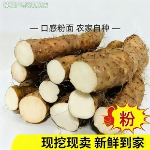 2025特产山药产地利川高山红皮米山药新鲜粉糯农家现挖