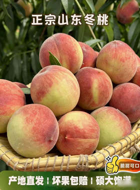 正宗现摘冬桃新鲜应季桃子新鲜水果春雪脆桃毛桃黄整箱包邮