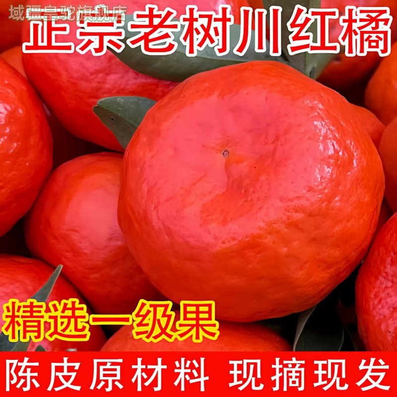 四川红橘古红桔重庆桔子大红袍橘子陈皮当季新鲜水果川桔,水产肉类/新鲜蔬果/熟食,桔子,淘宝优惠券,粉丝福利购,淘宝优惠卷