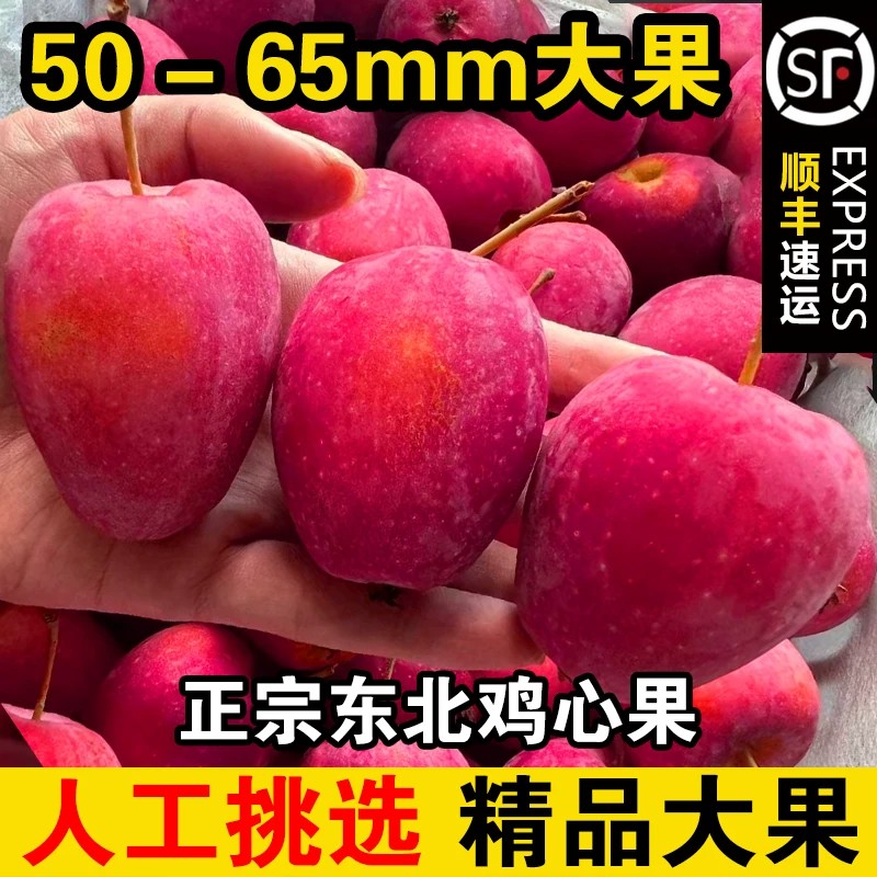 顺丰包邮东北鸡心果特产果脆甜锦绣海棠果酸甜当季应季孕妇小苹果图片