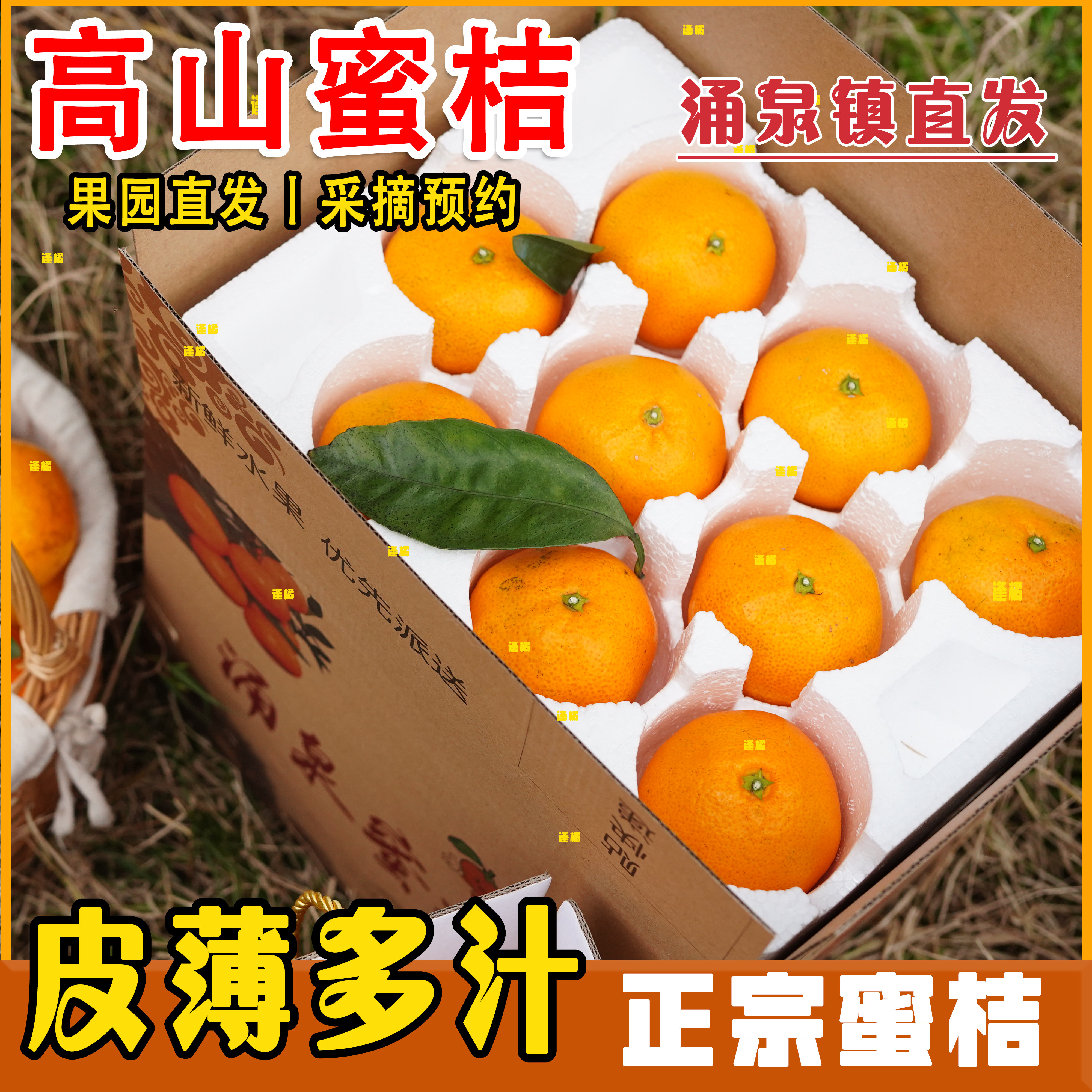 正宗涌泉蜜桔临海薄皮橘子无核宫川黄岩蜜橘10斤整箱新鲜老树桔子
