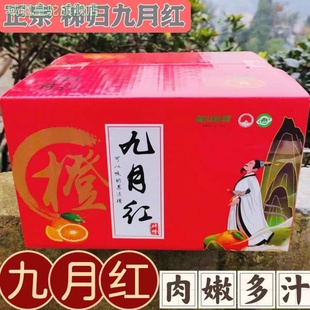 湖北秭归九月红橙果冻橙子当季新鲜水果孕妇手剥甜橙柑橘正宗脐橙