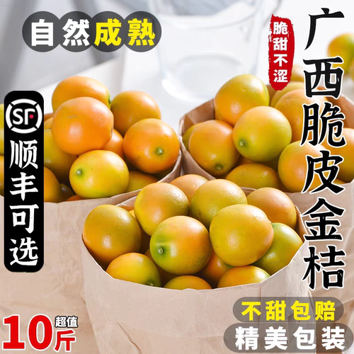 脆皮金桔10斤新鲜桔子应当季水果纯甜蜜小金柑孕妇整箱包邮
