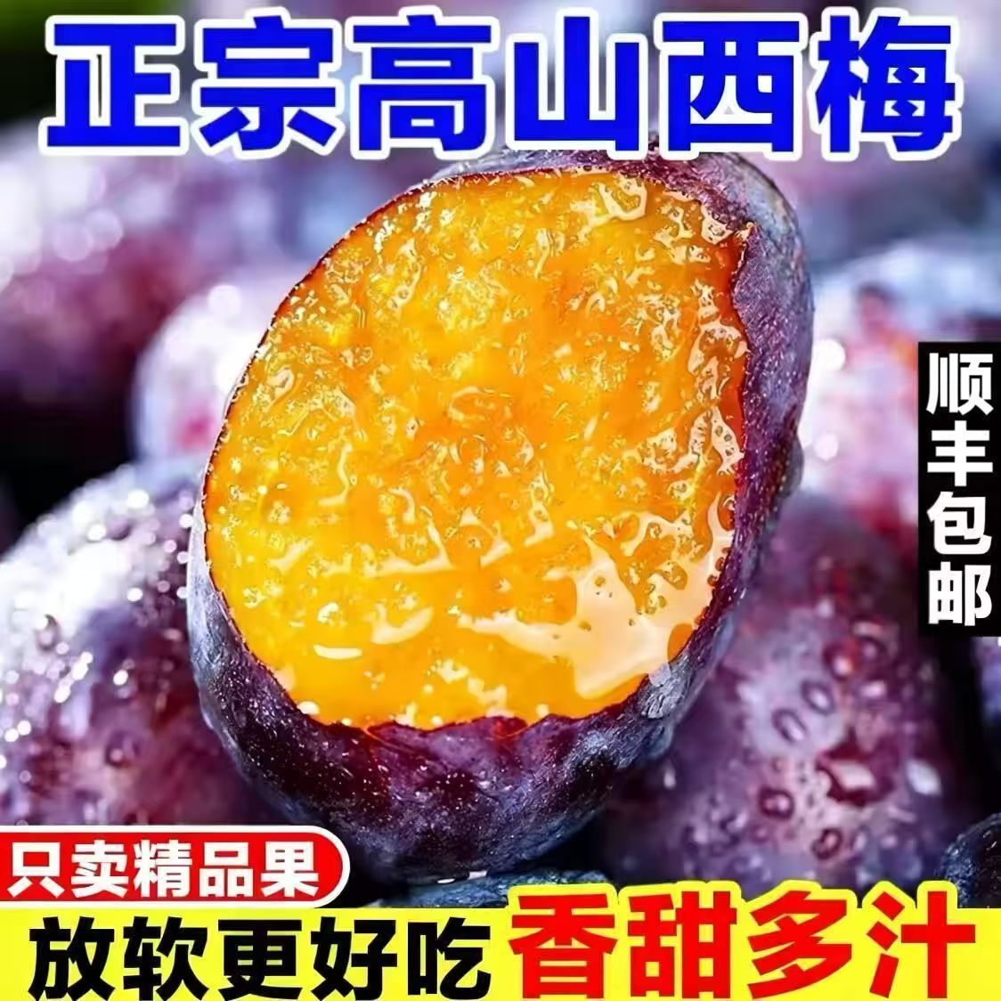 顺丰 新疆西梅新鲜现摘水果礼盒甜西梅李子喀什当季孕妇酸甜水果