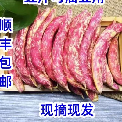 新鲜速冻红金勾油豆角5斤东北豆角黄金勾豆角油豆角开锅烂顺丰速