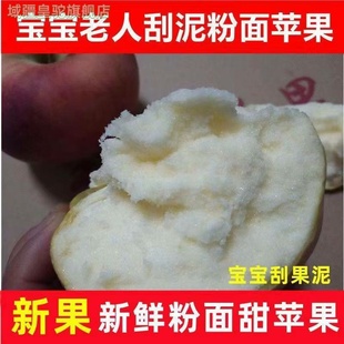 红星红香蕉苹果粉面香甜宝宝刮果泥新鲜当季婴儿老人孕妇吃非蛇果