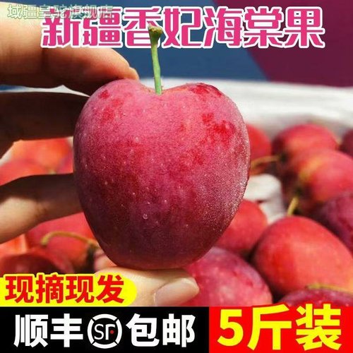 顺丰正宗新疆香妃海棠果鸡心果5斤冰糖小苹果孕妇当季新鲜水果W3