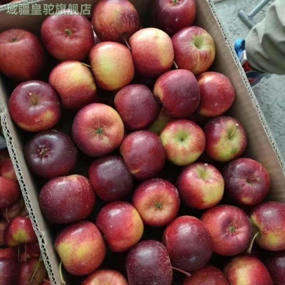 东北龙丰果大秋果整箱5斤新鲜当季水果海棠果沙果酸甜特产小苹果