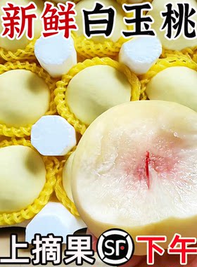 顺丰正宗山东白桃奶油冬桃当季白玉蜜桃脆毛桃子孕妇新鲜水果包邮