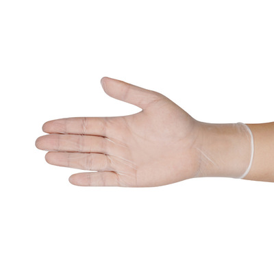 PV一次性手套烘焙食品家务薄膜防护手套防油防污100只装