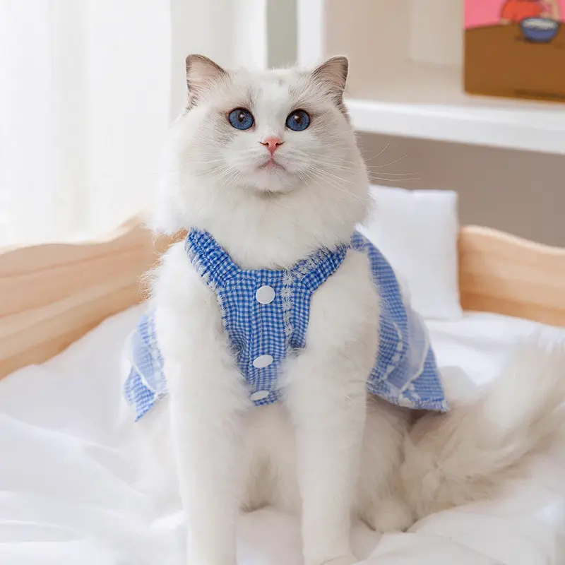 夏季公主风猫咪两脚裙子小雏菊格子蕾丝吊带裙狗狗连衣裙宠物衣服