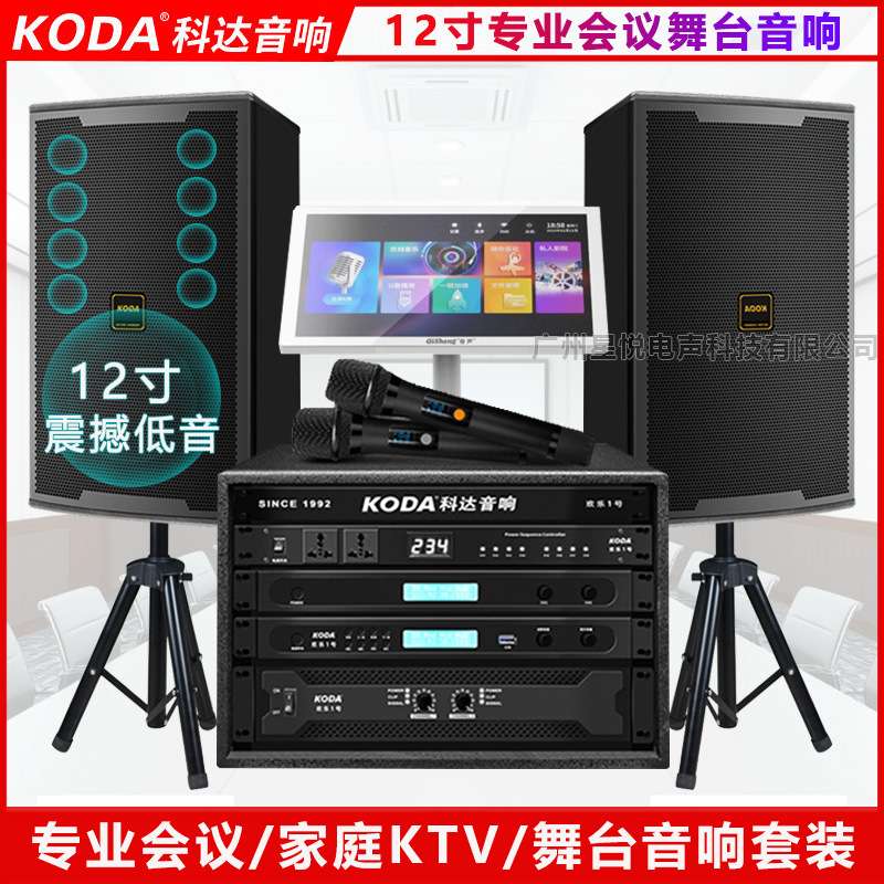科达12寸专业会议音响大型舞台演出音箱 家用10寸KTV卡拉ok音响套