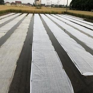 育秧无纺布水稻果树防霜冻防寒保温农用薄膜抗老化育苗布抗冻防寒