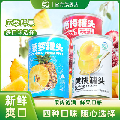 425g椰海源新鲜水果罐头