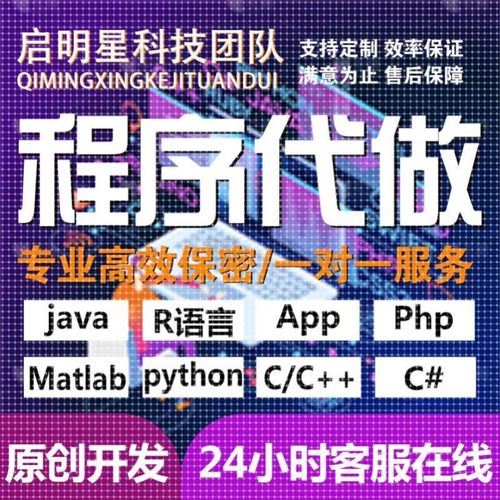 代码编写java系统开发Python代做c/c++程序代编程c#设计R语言接单