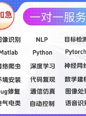 Python代编程深度学习神经网络算法代做跑代码指导编写调试接单