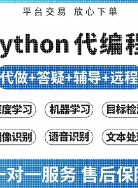 代码python编程深度学习机器学习人工智能代码编写跑通讲解调试
