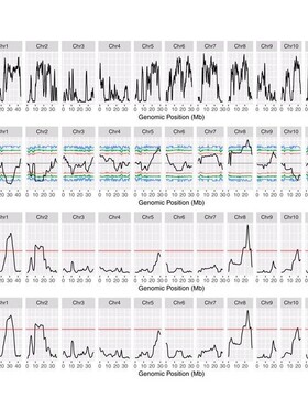 植物基因组BSA混池分析/基因图位克隆/QTL定位分析