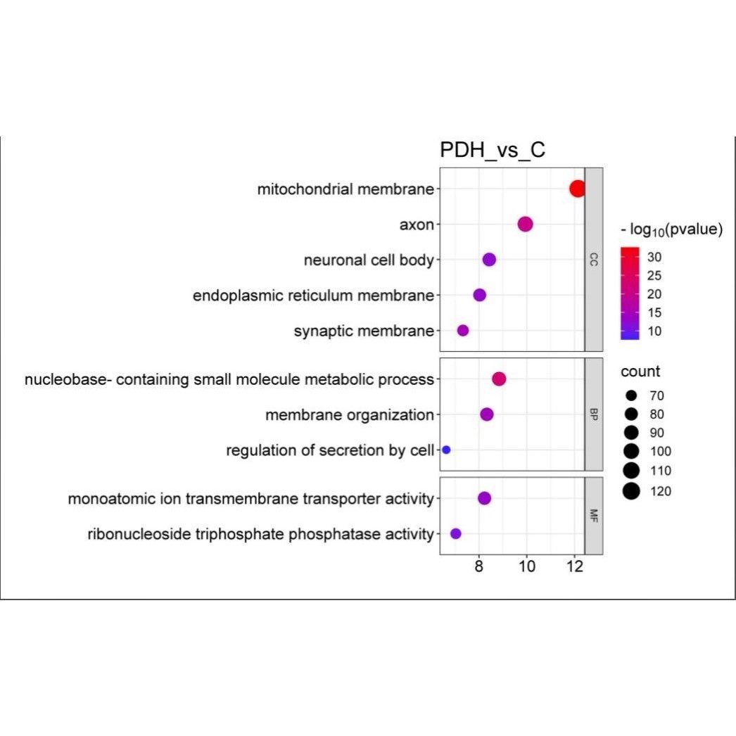 硕博论著全套医学统计设计分析有无数据均可可提供原始数据服务