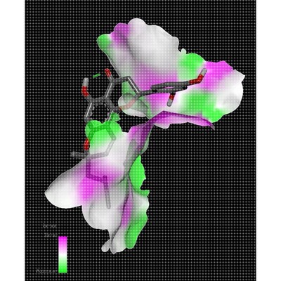 分子对接/结合能/服务顾客超500位/虚拟筛选/分子动力学模拟