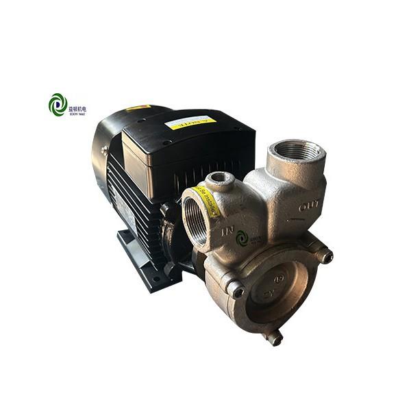 益顿不锈钢自吸式单相气浮装置配套用气液混合泵溶气泵涡流泵